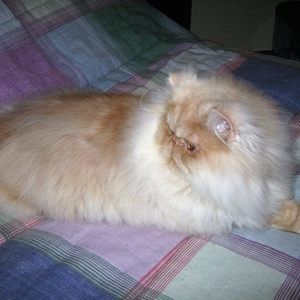 Meet your Posher, Nel